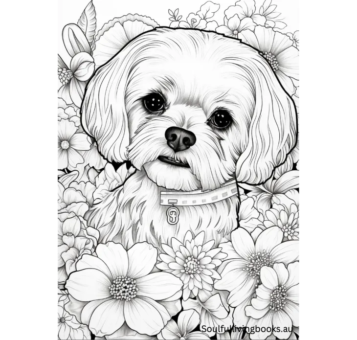 Soulful Living Books